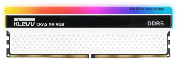 klevv cras xr rgb ddr5