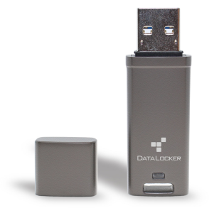datalocker dl go
