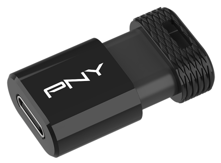 pny elite x fit type c usb
