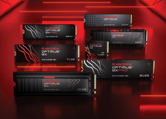 sandisk optimus ssds