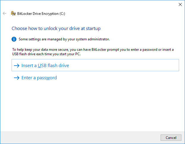 Bitlocker Setup 1.png